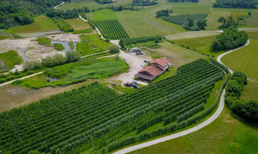 Approx. 22 hectares of agricultural land, with 12 hectares of productive fruit cultivation for sale in Vallelaghi, Trento